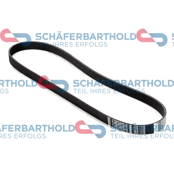 V-Ribbed Belt (300 28 802 01 11)
