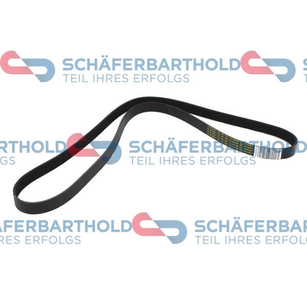 V-Ribbed Belt (300 28 873 01 11)