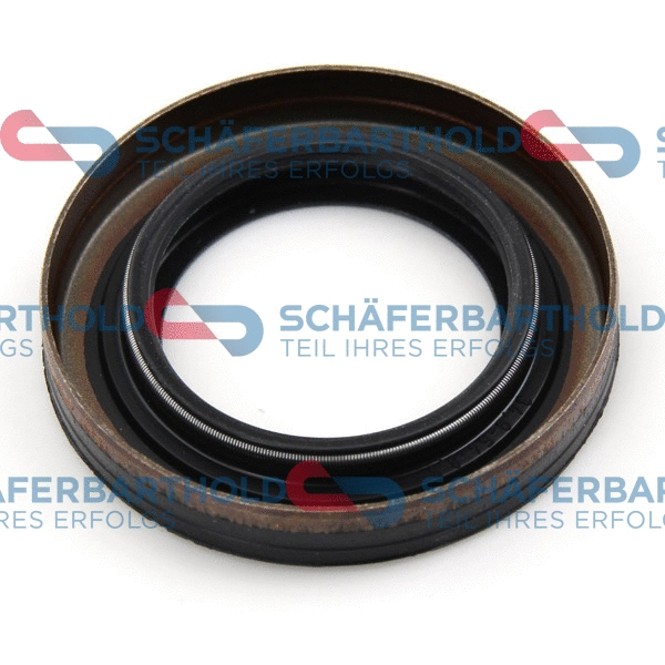 Shaft Seal, differential (313 27 442 01 11)