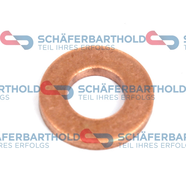 Seal Ring, nozzle holder (313 06 990 01 11)