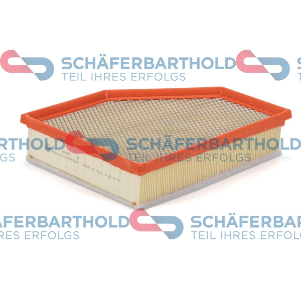 Air Filter (310 02 257 01 11)