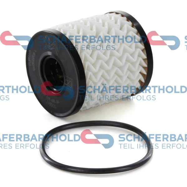 Oil Filter (310 27 172 01 11)