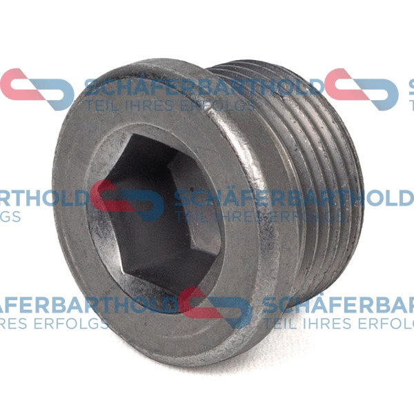 Screw Plug, oil sump (310 18 744 01 11)
