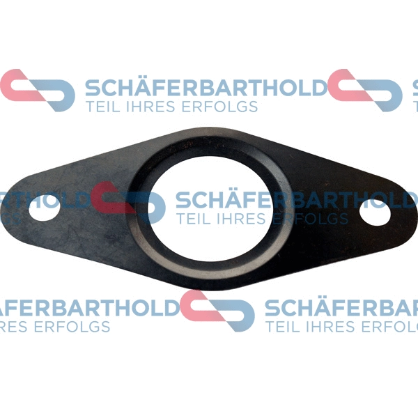 Gasket, EGR valve (313 27 903 01 11)