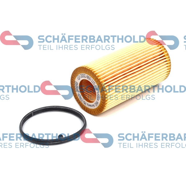 Oil Filter (310 18 608 01 11)