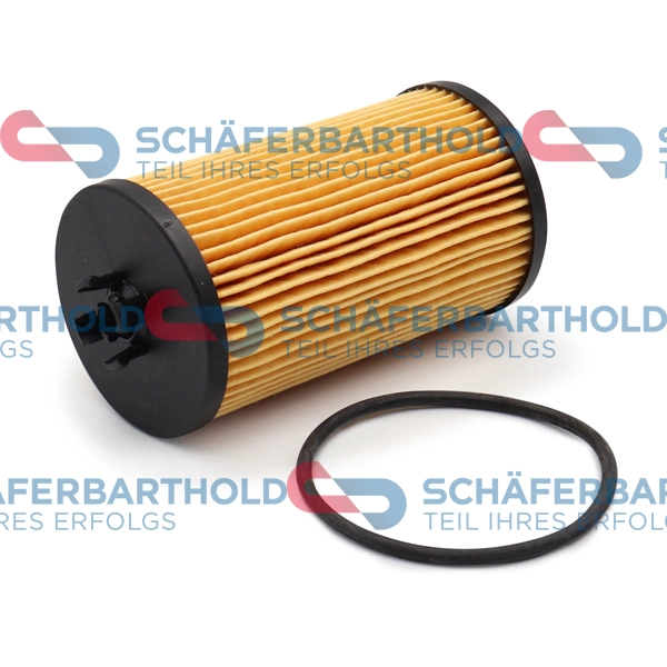 Oil Filter (310 27 863 01 11)