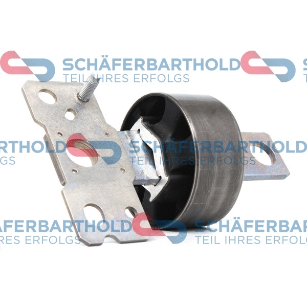 Bushing, axle beam (310 06 187 01 11)