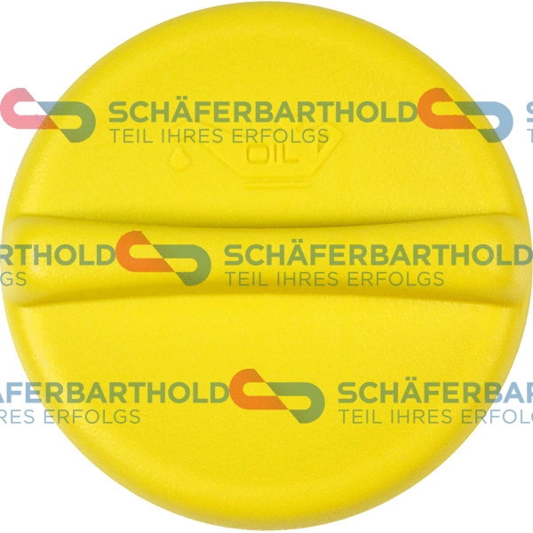 Sealing Cap, oil filler neck (310 16 909 01 11)