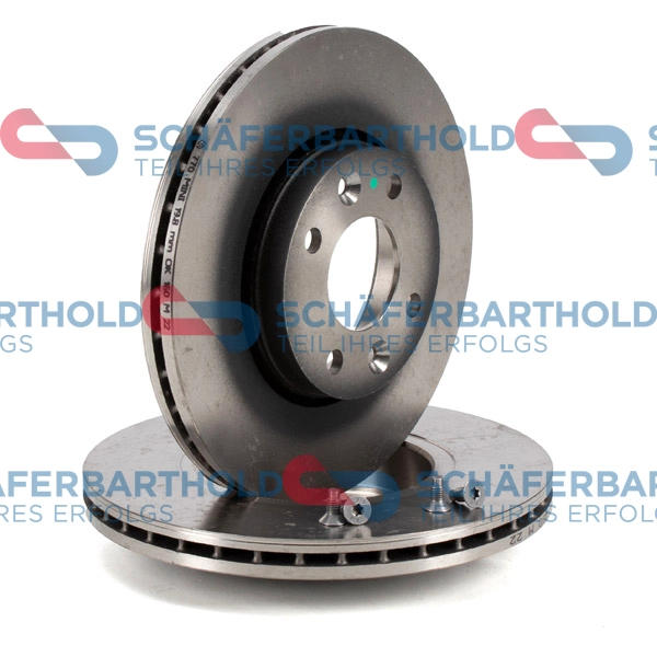 Brake Disc (315 28 306 01 11)