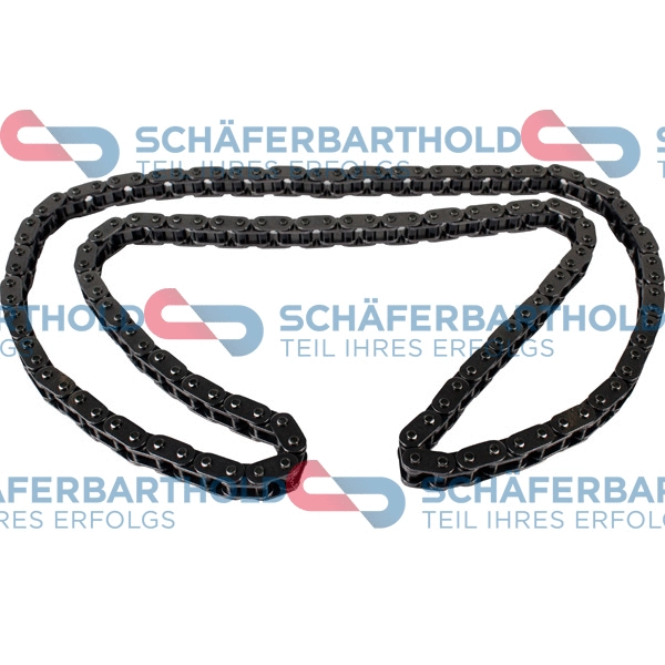 Timing Chain (310 16 459 01 11)