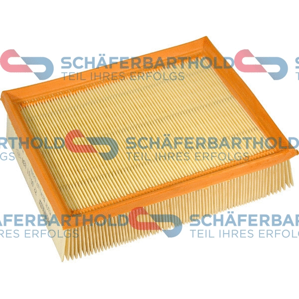 Air Filter (310 28 174 01 11)