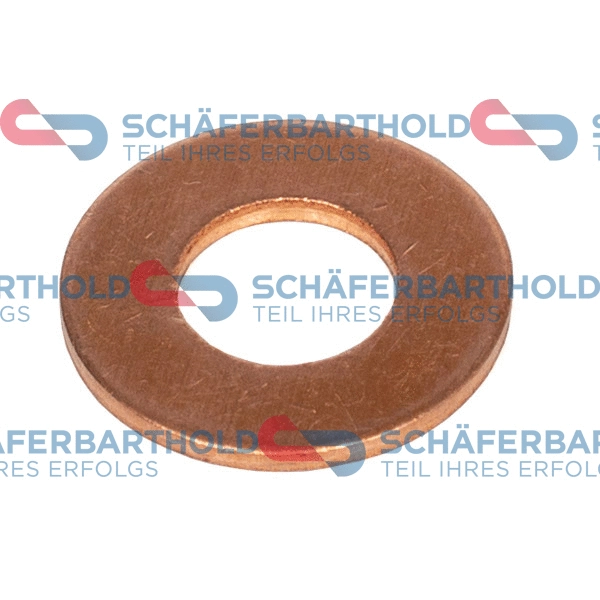 Seal Ring, oil drain plug (313 06 060 01 11)
