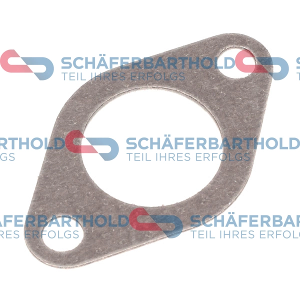 Gasket, EGR valve (319 18 263 01 11)