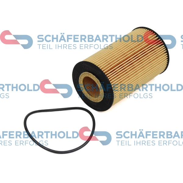 Oil Filter (310 12 673 01 11)