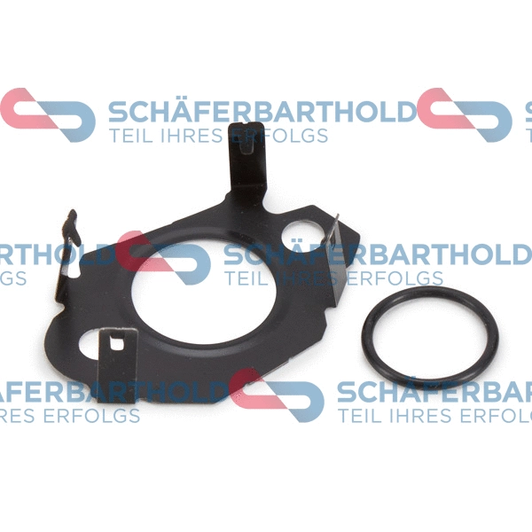 Gasket Set, EGR system (313 27 099 01 11)