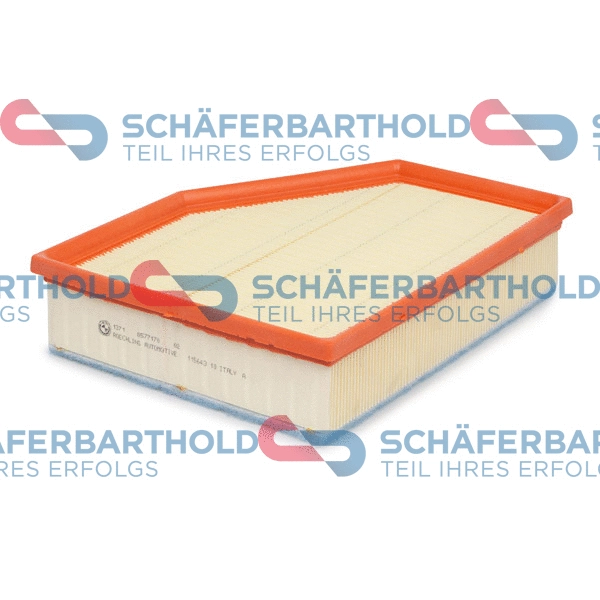 Air Filter (310 02 190 01 11)