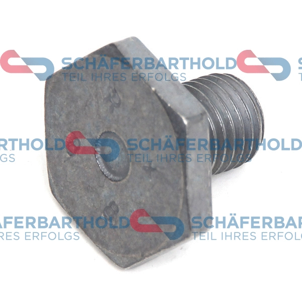 Screw Plug, oil sump (912 06 318 01 11)