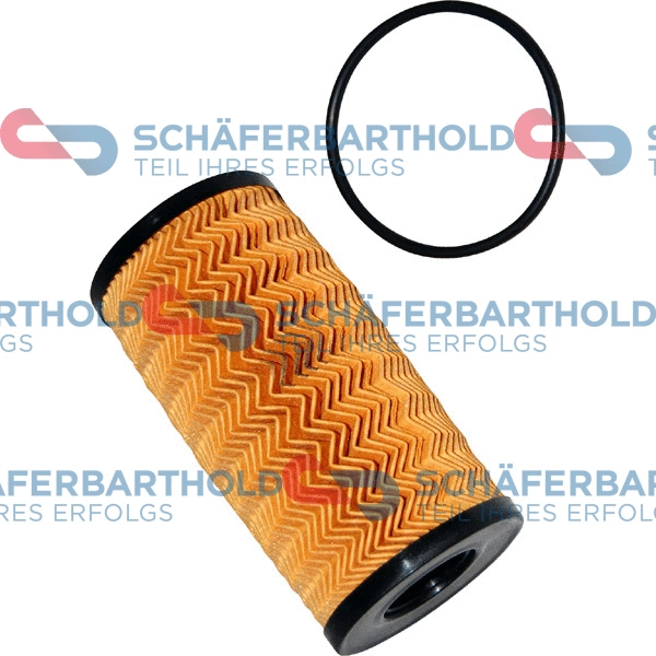 Oil Filter (310 16 219 01 11)