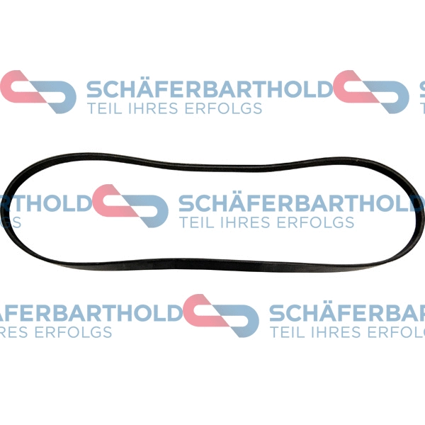 V-Ribbed Belt (300 16 821 01 11)