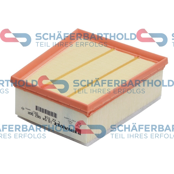 Air Filter (310 28 258 01 11)
