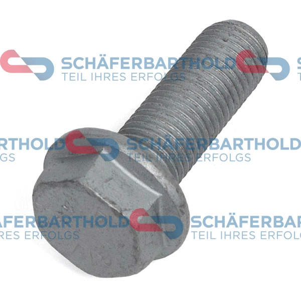 Bolt, brake caliper (317 18 770 01 22)