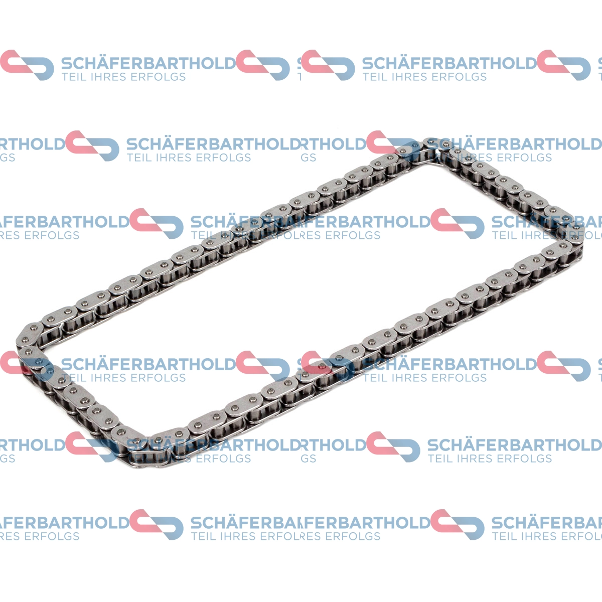 Timing Chain (319 18 603 01 11)