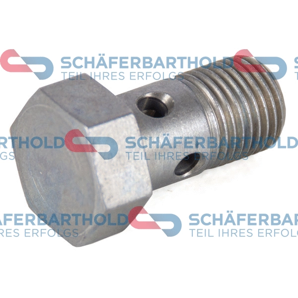 Banjo Bolt, charger (100 02 015 01 11)