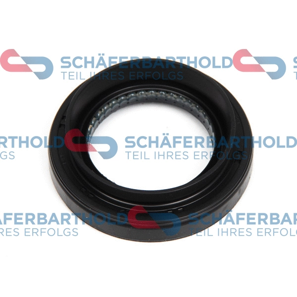 Shaft Seal, differential (313 27 443 01 11)