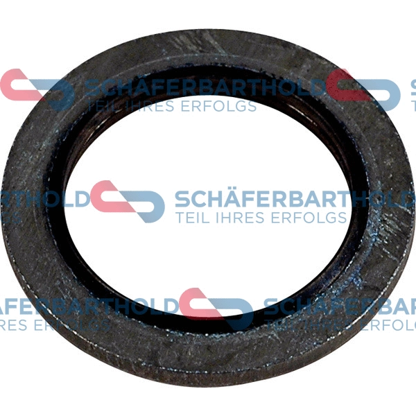 Seal Ring, oil drain plug (313 28 062 01 11)