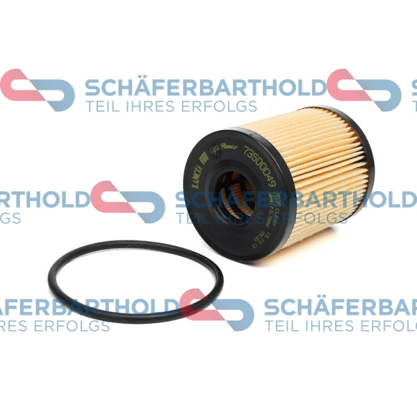 Oil Filter (310 08 117 01 11)