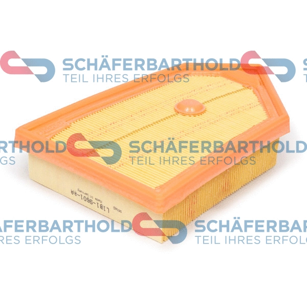 Air Filter (310 06 153 01 11)