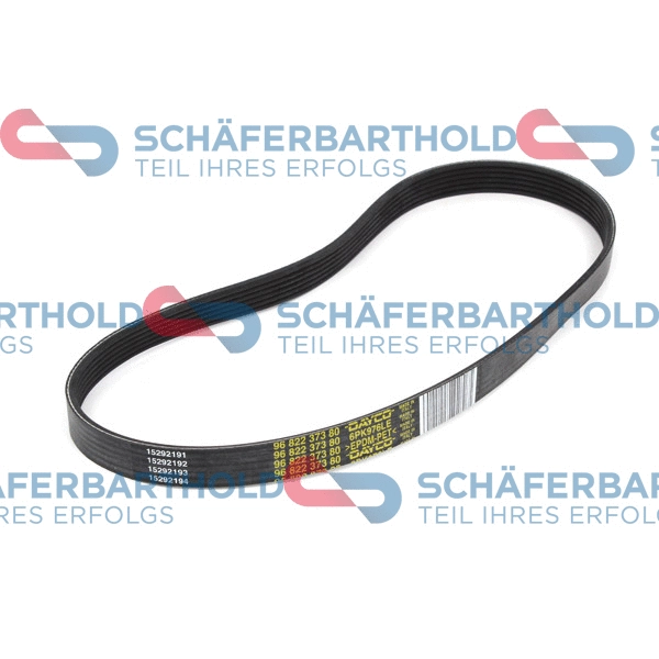 V-Ribbed Belt (300 27 844 01 11)