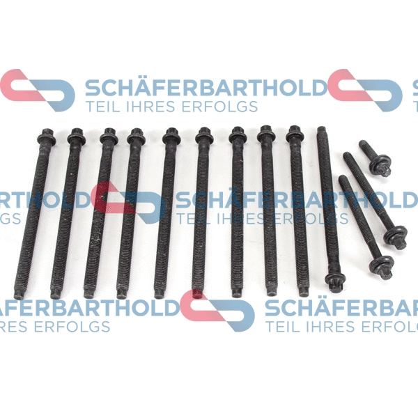 Cylinder Head Bolt Set (100 27 238 01 11)