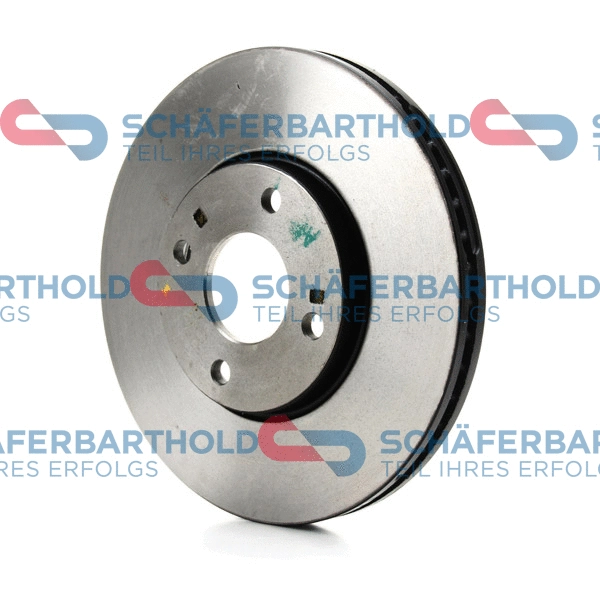 Brake Disc (315 06 307 01 11)