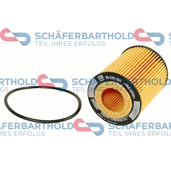 Oil Filter (310 16 194 01 11)