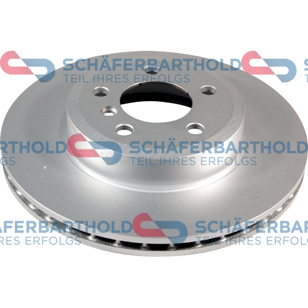 Brake Disc (315 02 456 01 11)