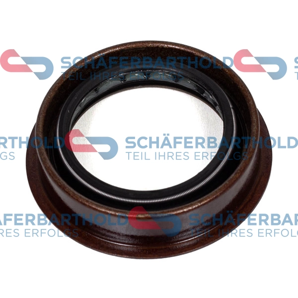 Shaft Seal, differential (313 38 406 01 11)