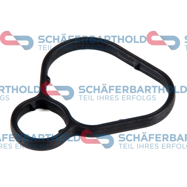 Gasket, oil filter housing (313 16 973 01 11)