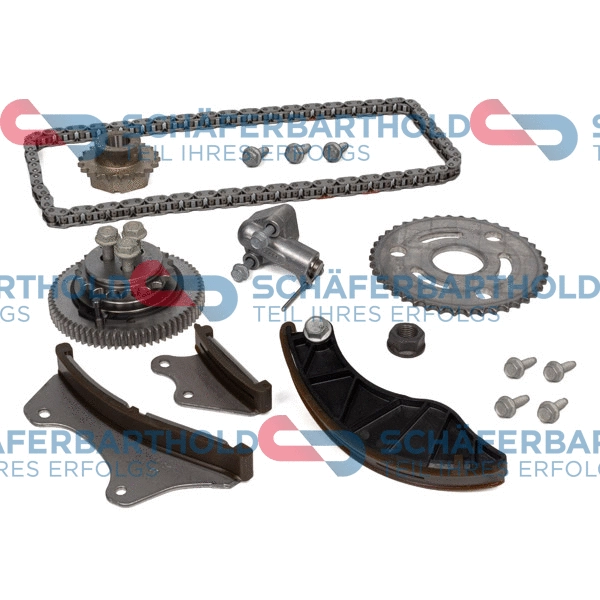 Timing Chain Kit (310 16 890 01 11)