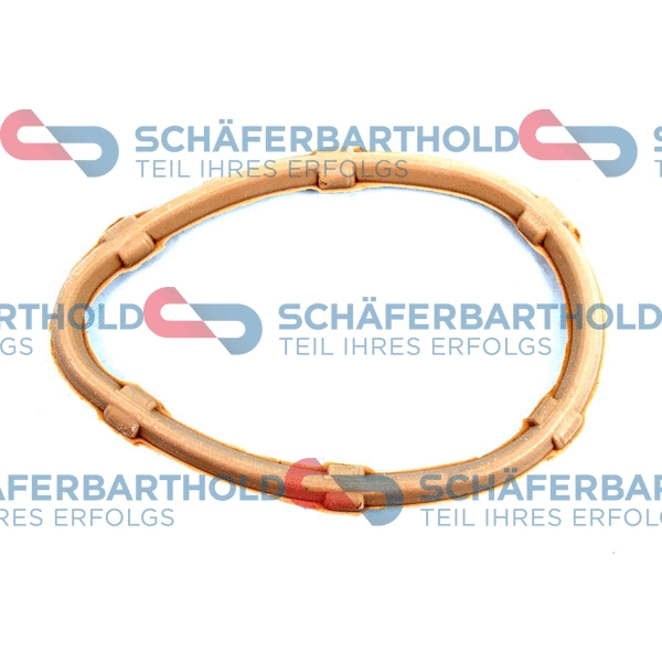 Gasket, intake manifold (313 28 073 01 11)