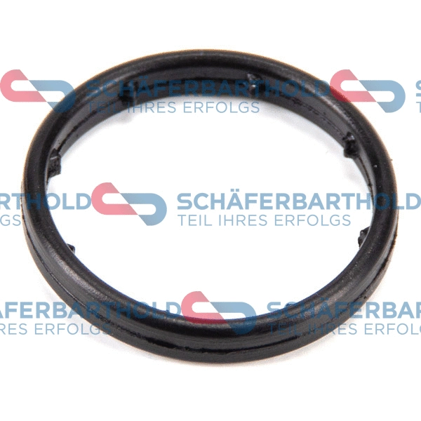 Gasket, oil filter housing (313 16 979 01 11)