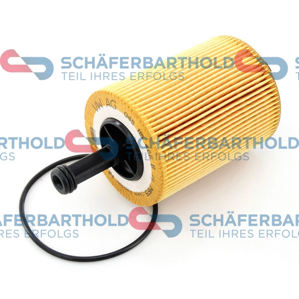 Oil Filter (310 18 107 01 11)