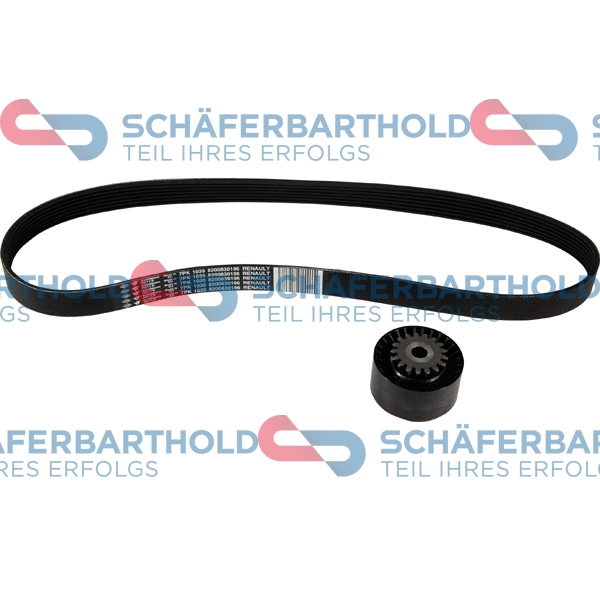 V-Ribbed Belt Set (310 28 619 01 11)