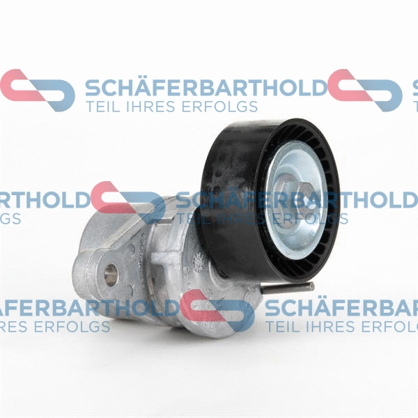 Tensioner Pulley, V-ribbed belt (310 27 495 01 11)