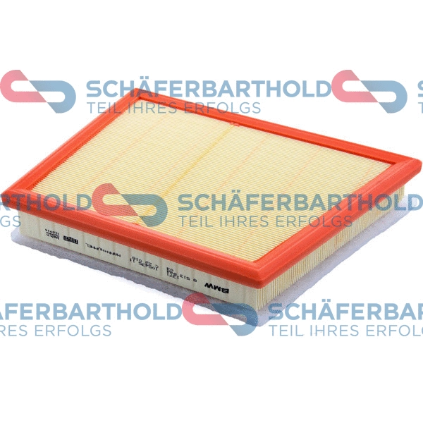 Air Filter (310 02 611 01 11)