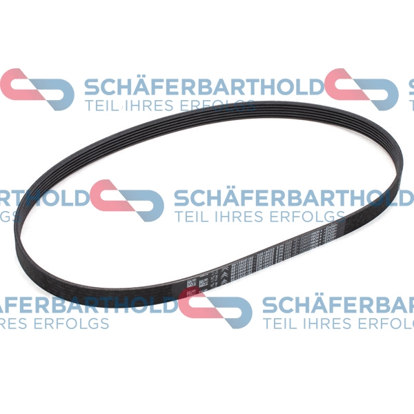 V-Ribbed Belt (300 27 849 01 11)