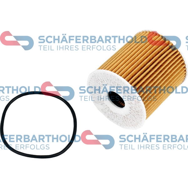 Oil Filter (310 38 137 01 11)