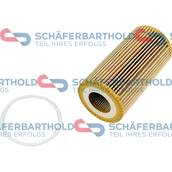 Oil Filter (310 38 136 01 11)