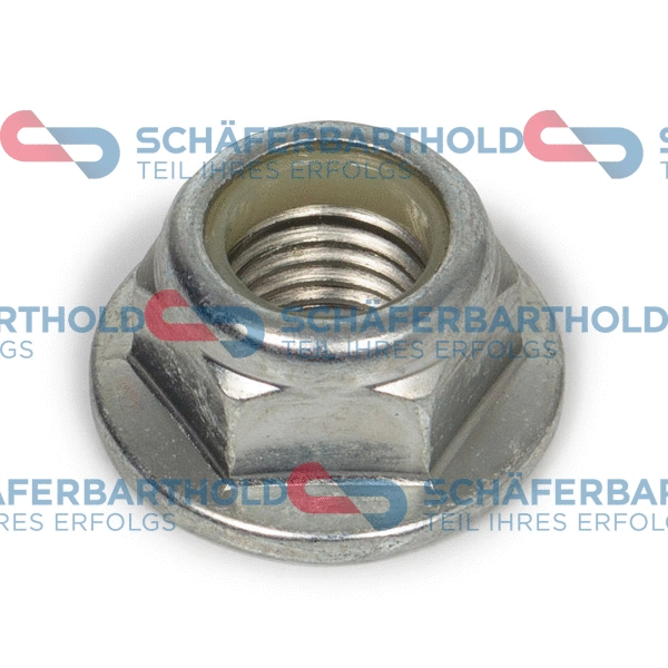 Nut, stub axle (100 16 306 01 11)