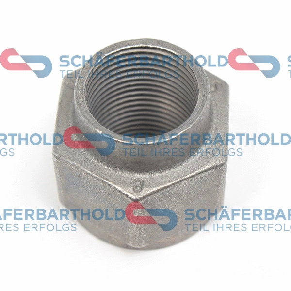 Axle Nut, drive shaft (100 27 289 01 11)